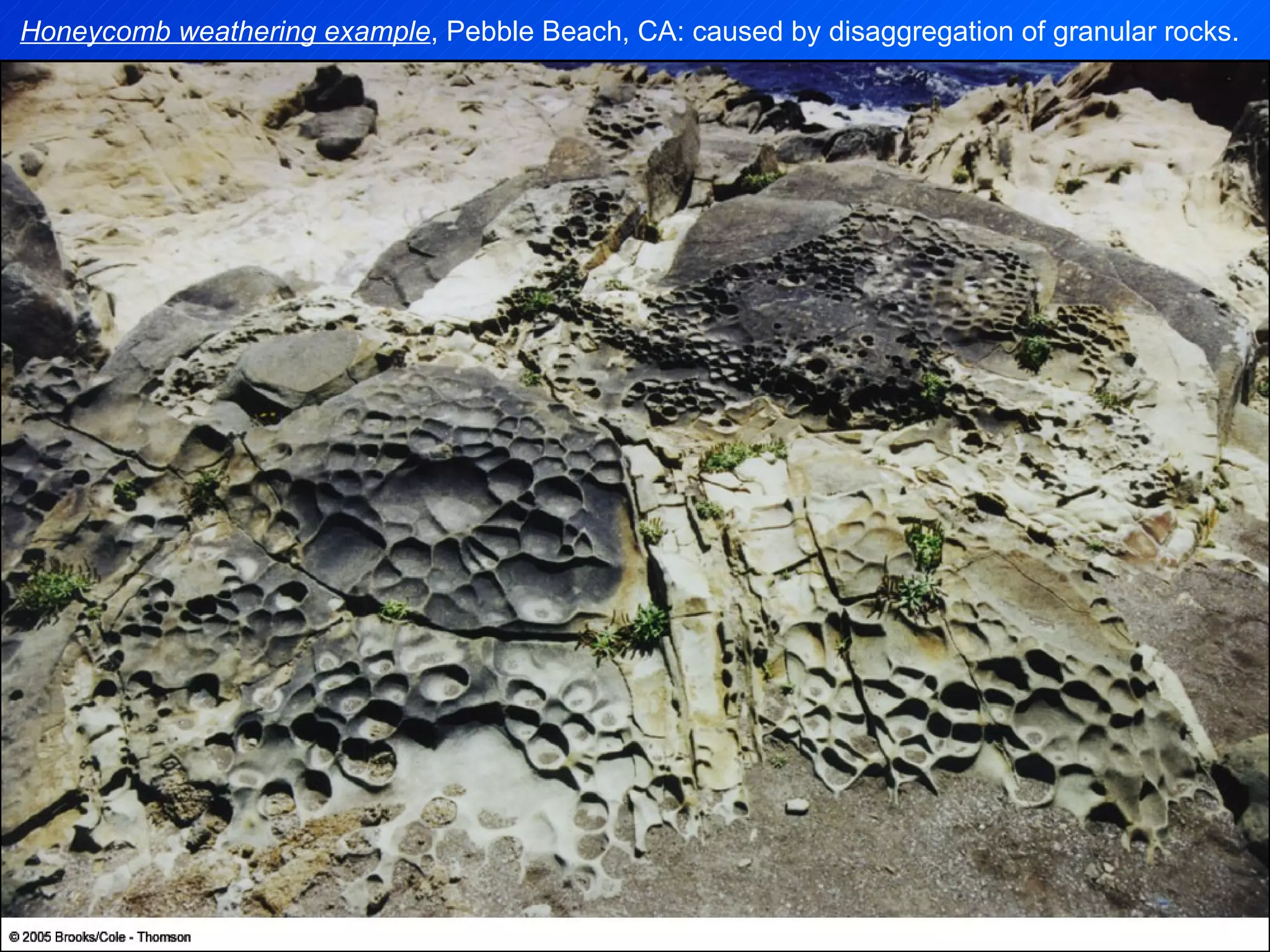 Honeycomb weathering example , Pebble Beach, CA: caused by disaggregation of granular rocks. 