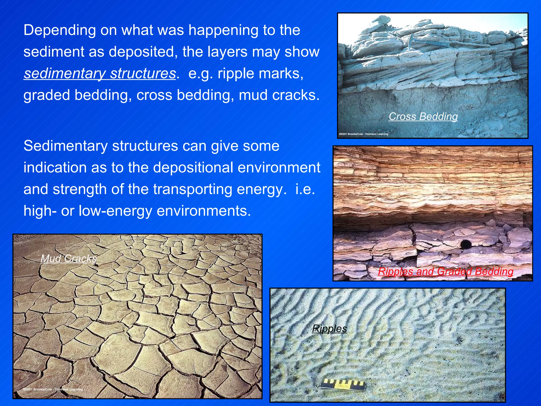 Depending on what was happening to the sediment as deposited, the layers may show  sedimentary structures .  e.g. ripple marks, graded bedding, cross bedding, mud cracks.   Sedimentary structures can give some indication as to the depositional environment and strength of the transporting energy.  i.e. high- or low-energy environments. Mud Cracks Ripples Cross Bedding Ripples and Graded Bedding 