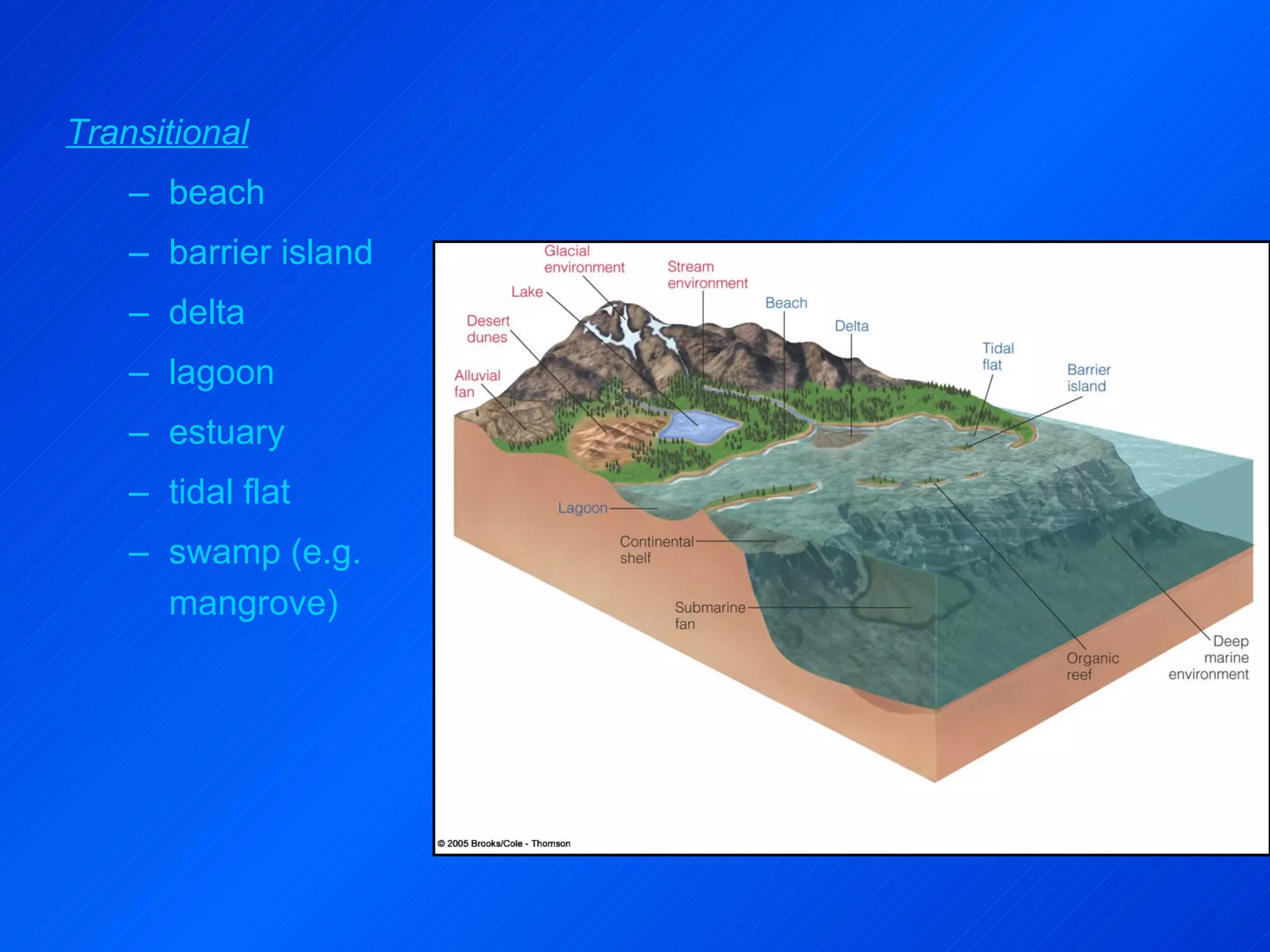 Transitional beach barrier island delta lagoon estuary tidal flat swamp (e.g. mangrove)  