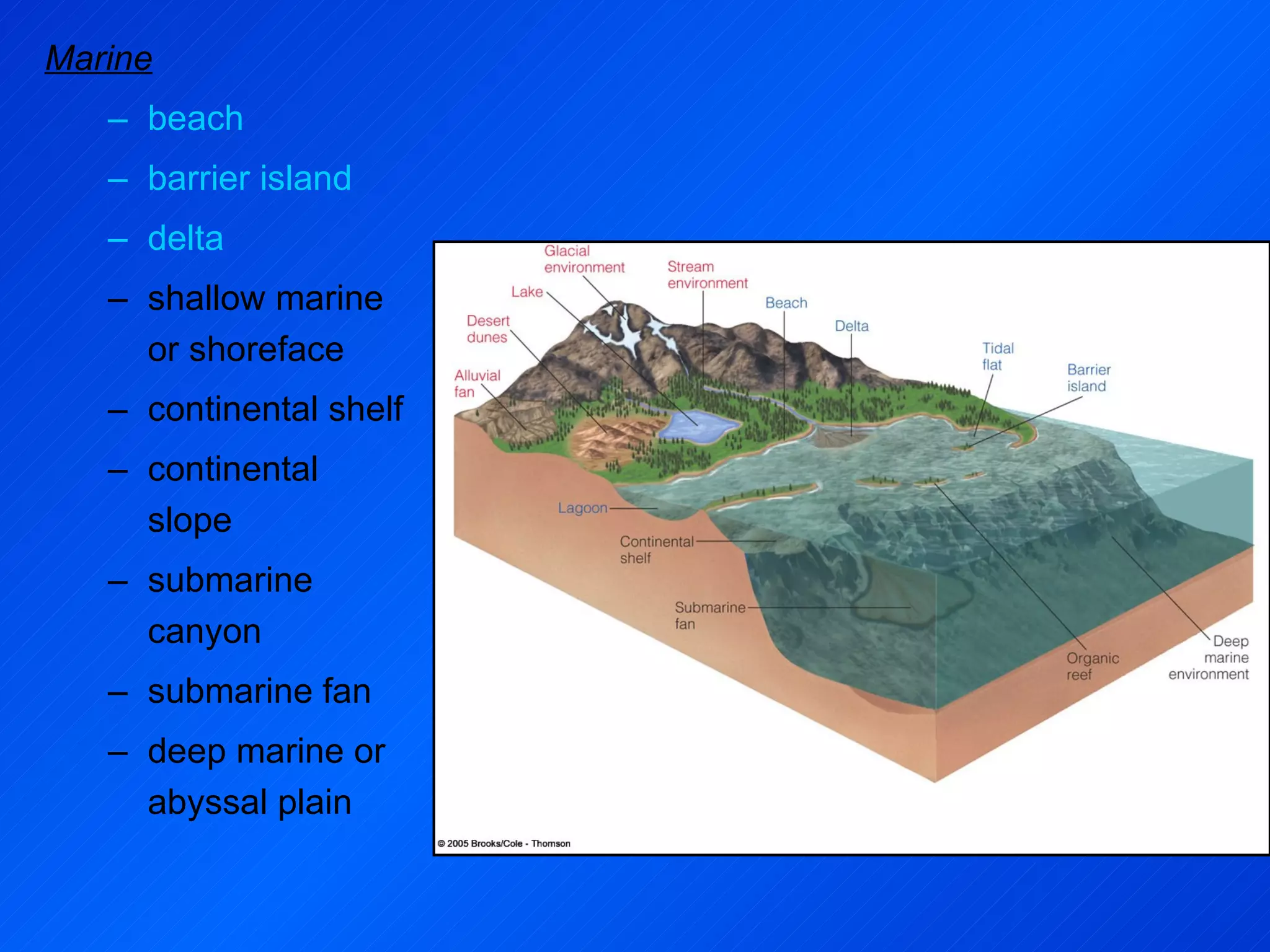 Marine beach barrier island delta shallow marine or shoreface continental shelf continental slope submarine canyon submarine fan deep marine or abyssal plain   