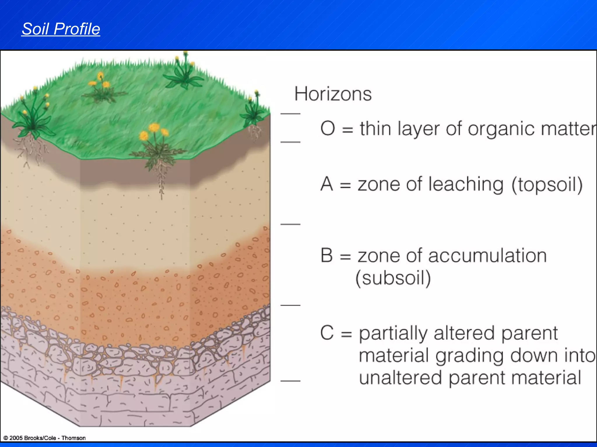 Soil Profile 