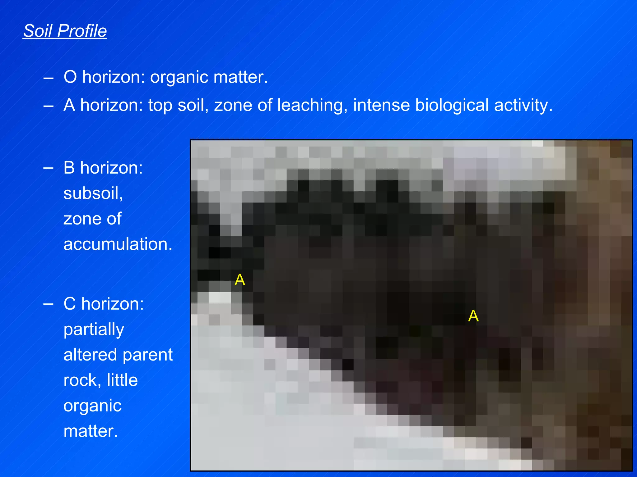 O horizon: organic matter. A horizon: top soil, zone of leaching, intense biological activity. B horizon: subsoil,  zone of accumulation. C horizon: partially altered parent rock, little organic matter. Soil Profile A A 
