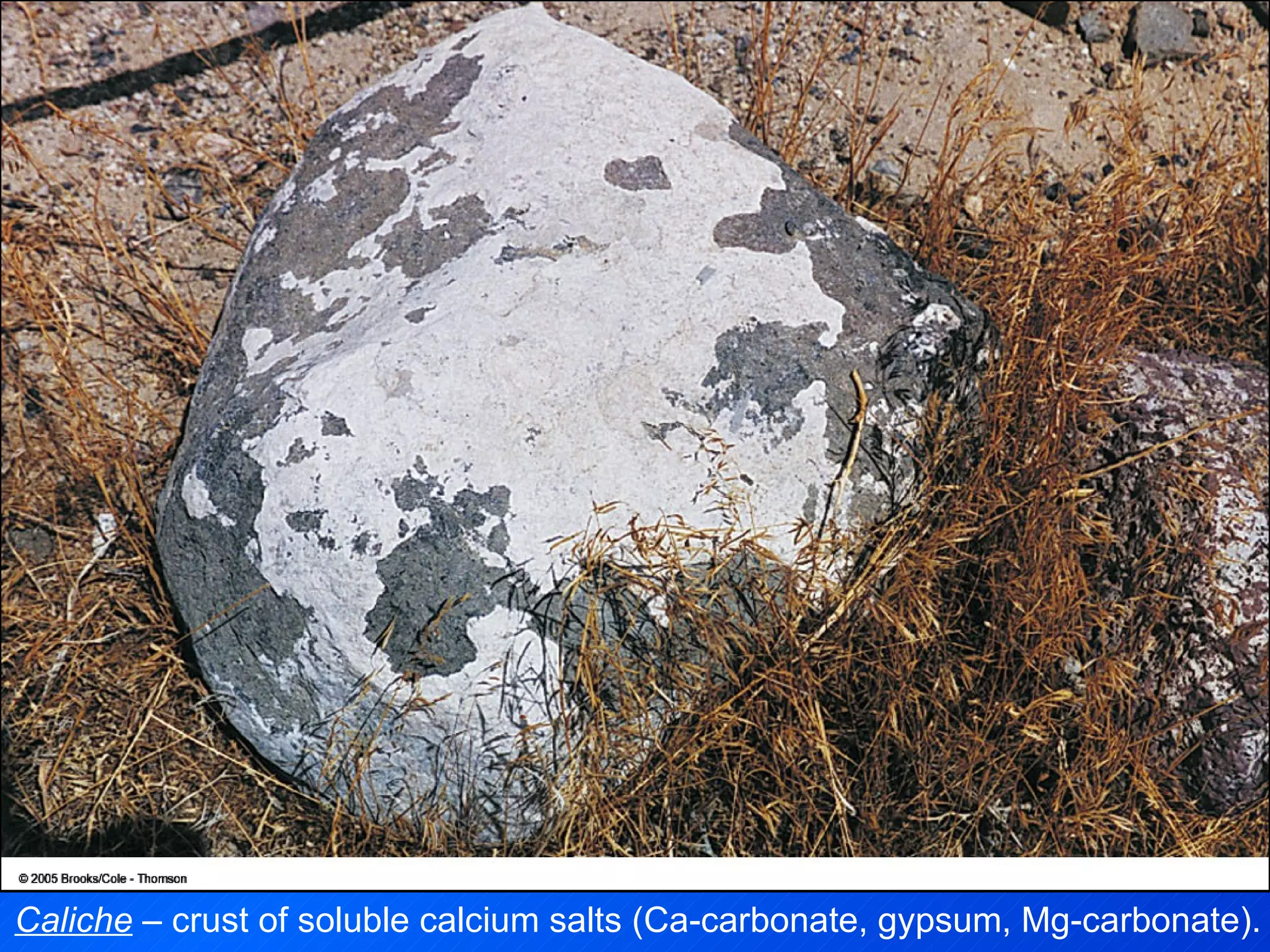 Caliche  – crust of soluble calcium salts (Ca-carbonate, gypsum, Mg-carbonate). 