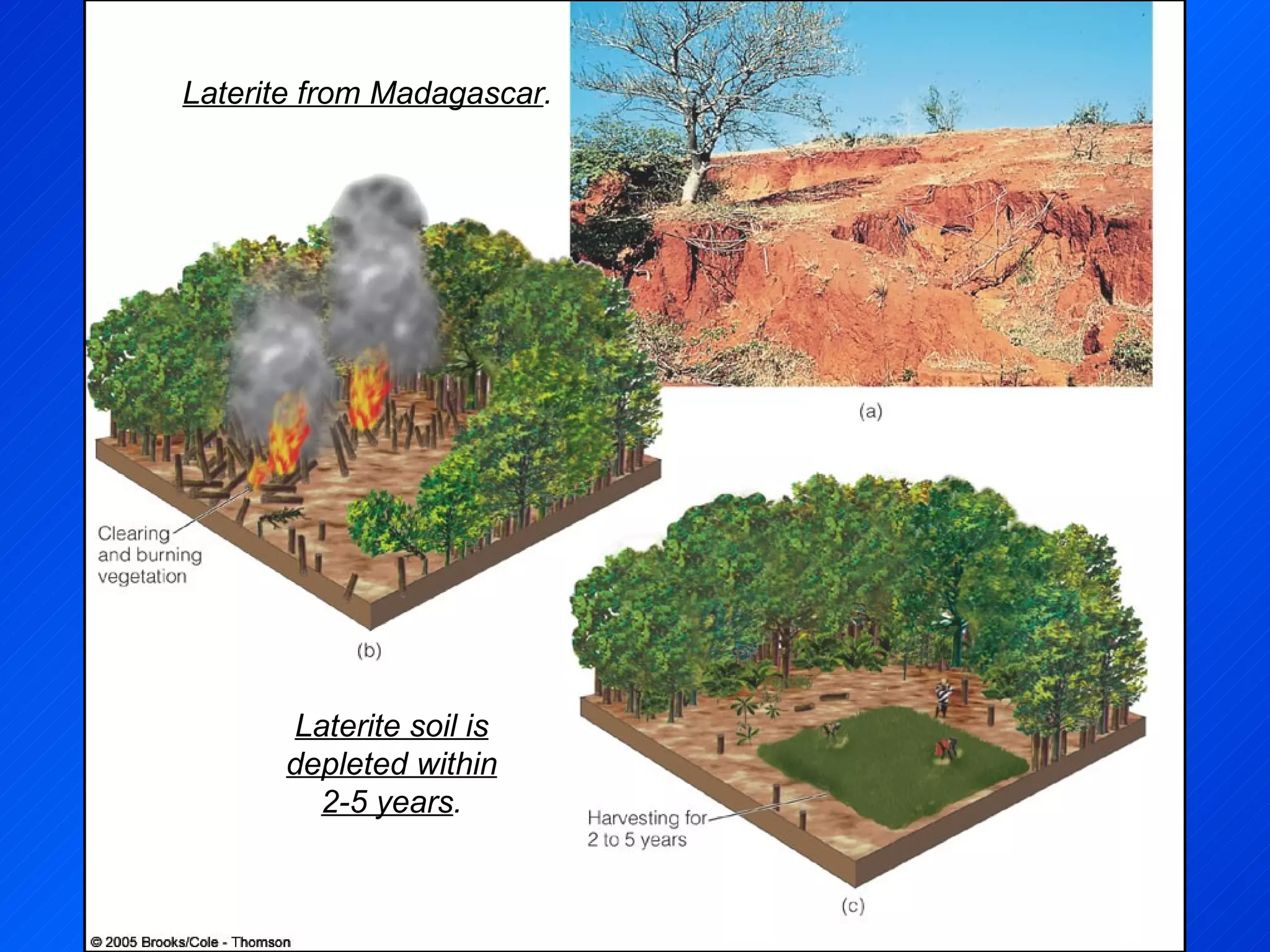 Laterite from Madagascar . Laterite soil is depleted within 2-5 years . 