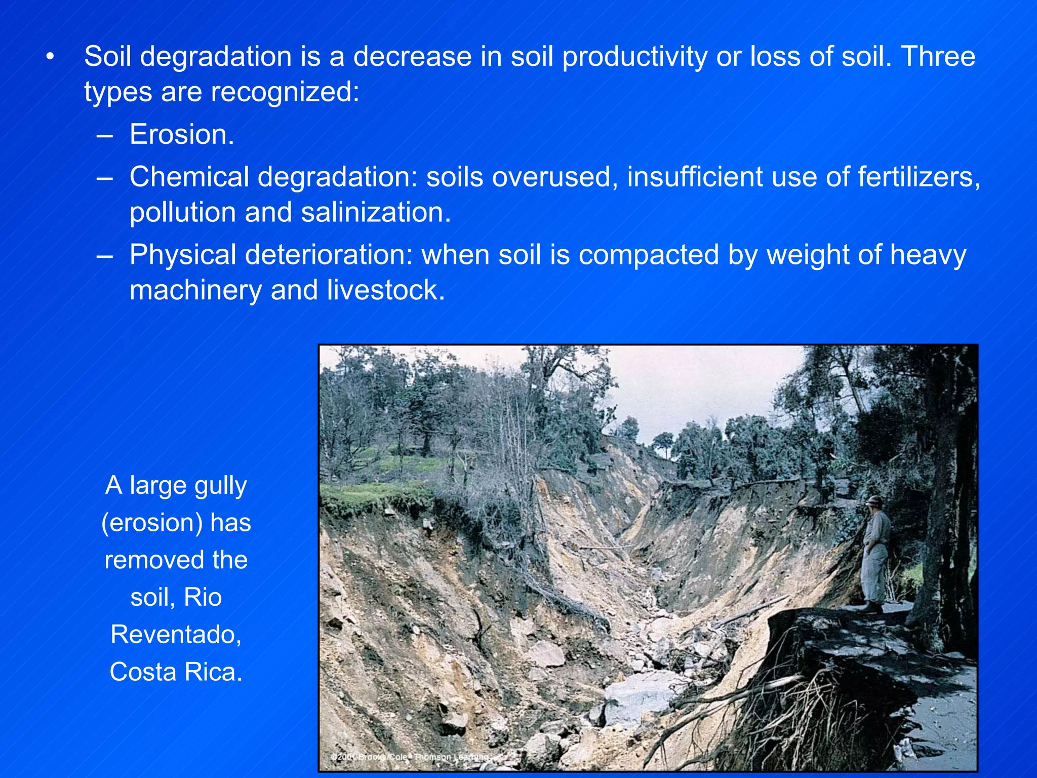 Soil degradation is a decrease in soil productivity or loss of soil. Three types are recognized: Erosion. Chemical degradation: soils overused, insufficient use of fertilizers, pollution and salinization. Physical deterioration: when soil is compacted by weight of heavy machinery and livestock. A large gully (erosion) has removed the soil, Rio Reventado, Costa Rica. 