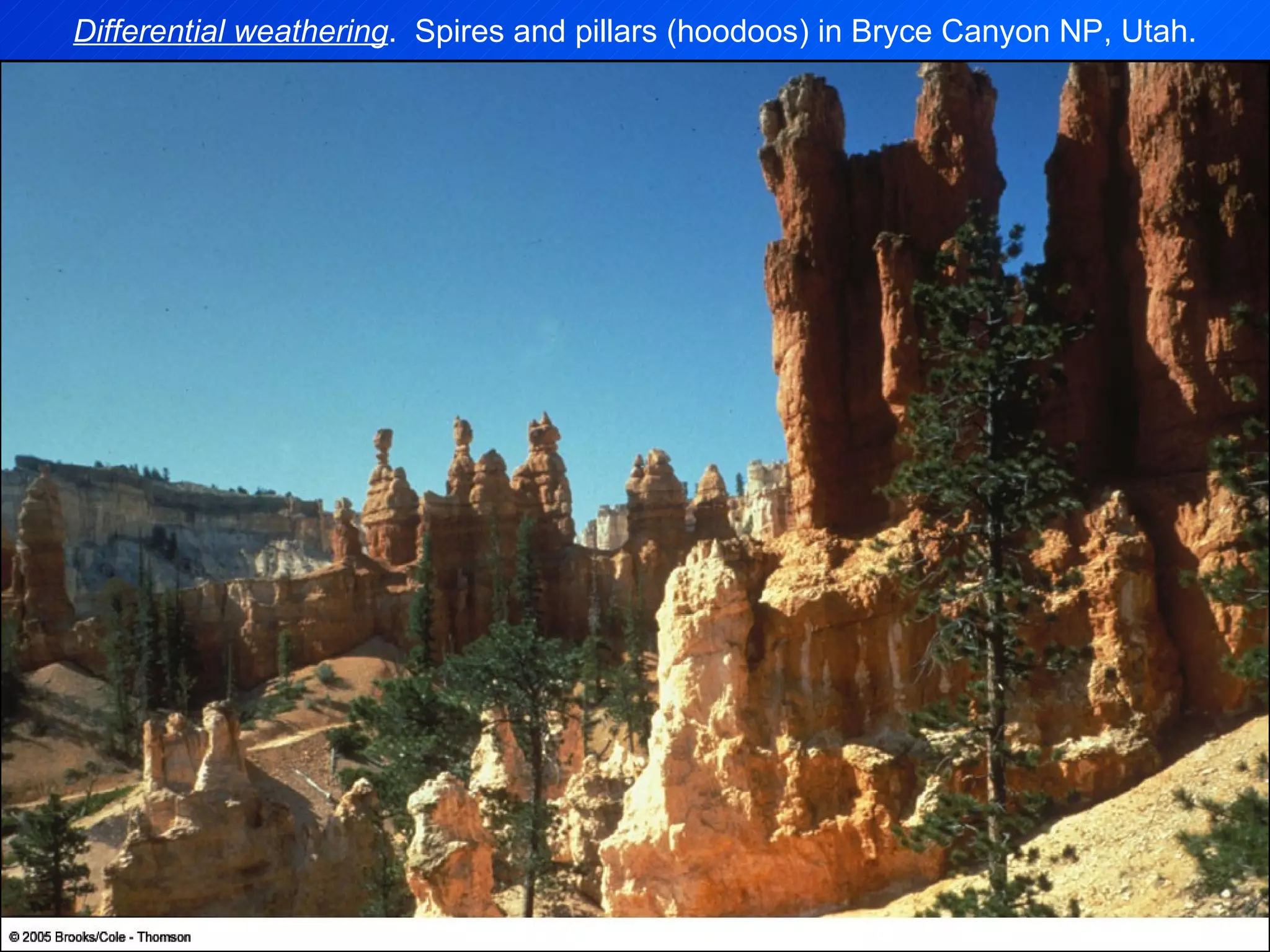 Differential weathering .  Spires and pillars (hoodoos) in Bryce Canyon NP, Utah. 