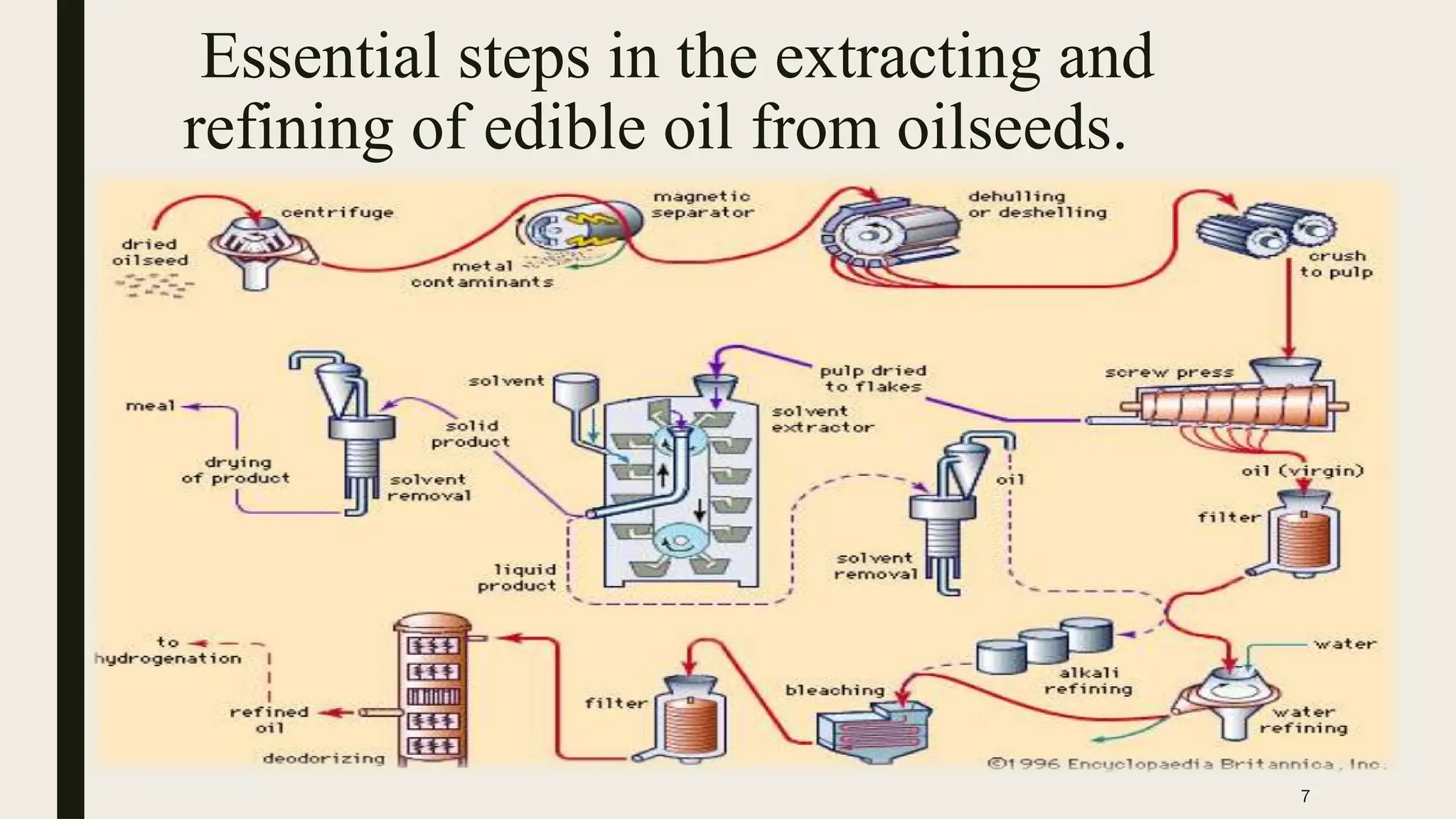 7
Essential steps in the extracting and
refining of edible oil from oilseeds.
 