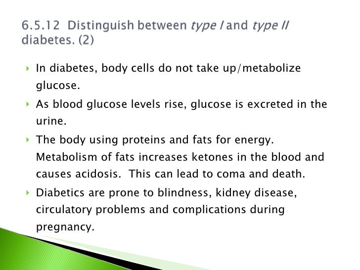 Review over glucose metabolism worksheet answers