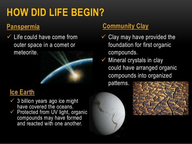Topic 6 origins of life ppt
