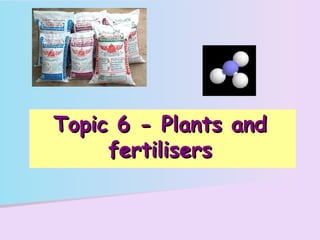 Topic 6 - Plants and fertilisers 