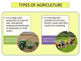 TYPES OF AGRICULTURE
• It is a large-scale
production of crops for
sale, intended for
widespread distribution
to wholesaler or retail
outlet.
COMMERCIAL
AGRICULTURE
• It is farming that
provides for the farm
family's needs with little
surplus for marketing.
SUBSISTENCE
AGRICULTURE
 