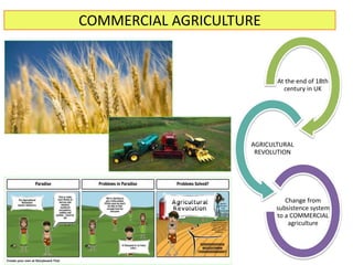 COMMERCIAL AGRICULTURE
At the end of 18th
century in UK
AGRICULTURAL
REVOLUTION
Change from
subsistence system
to a COMMERCIAL
agriculture
 