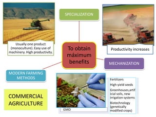 COMMERCIAL
AGRICULTURE
To obtain
máximum
benefits
SPECIALIZATION
MECHANIZATION
MODERN FARMING
METHODS
Usually one product
(monoculture). Easy use of
machinery. High productivity.
Productivity increases
GMO
Fertilizers
High-yield seeds
Greenhouses,artif
icial soils, new
irrigation systems
Biotechnology
(genetically
modified crops)
 