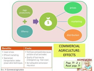 COMMERCIAL
AGRICULTURE:
EFFECTS
High
productivity
Effiency
benefits
prices
marketing
distribution
Page 71. 2 a
Read page 71
 