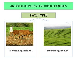 AGRICULTURE IN LESS DEVELOPED COUNTRIES
Traditional agriculture Plantation agriculture
TWO TYPES
 