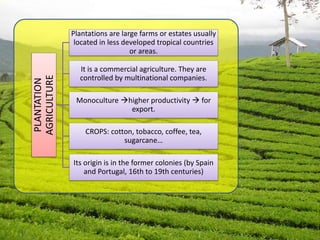 PLANTATION
AGRICULTURE
Plantations are large farms or estates usually
located in less developed tropical countries
or areas.
It is a commercial agriculture. They are
controlled by multinational companies.
Monoculture higher productivity  for
export.
CROPS: cotton, tobacco, coffee, tea,
sugarcane…
Its origin is in the former colonies (by Spain
and Portugal, 16th to 19th centuries)
 