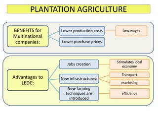 PLANTATION AGRICULTURE
BENEFITS for
Multinational
companies:
Lower production costs Low wages
Lower purchase prices
Advantages to
LEDC:
Jobs creation
Stimulates local
economy
New infrastructures:
Transport
marketing
New farming
techniques are
introduced
efficiency
 