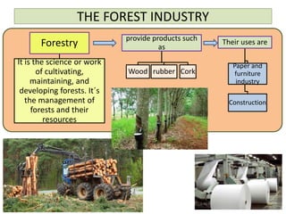 THE FOREST INDUSTRY
Forestry
It is the science or work
of cultivating,
maintaining, and
developing forests. It´s
the management of
forests and their
resources
provide products such
as
Wood rubber Cork
Their uses are
Construction
Paper and
furniture
industry
 