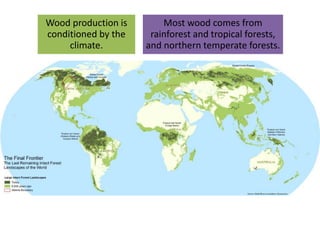 Wood production is
conditioned by the
climate.
Most wood comes from
rainforest and tropical forests,
and northern temperate forests.
 