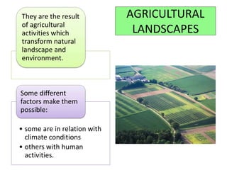 AGRICULTURAL
LANDSCAPES
They are the result
of agricultural
activities which
transform natural
landscape and
environment.
• some are in relation with
climate conditions
• others with human
activities.
Some different
factors make them
possible:
 
