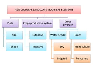 AGRICULTURAL LANDSCAPE MODIFIERS ELEMENTS
Plots
Size
Shape
Crops production system
Extensive
Intensive
Crops
diversity
Water needs:
Dry
Irrigated
Crops
Monoculture
Polycuture
 