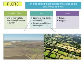 PLOTS
Number of plots:
• one or more plots
form an exploitation
(1 owner)
Size:
• Openfield (big fields,
no fences)
• Bocage (small fields,
fenced plots)
Shape:
• Regular
• Irregular
an area of land that has been measured and is
considered as a unit
 
