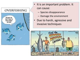 • It is an important problem. It
can cause:
– Species disappearance
– Damage the environment
• Due to harsh, agressive and
invasive techniques
 