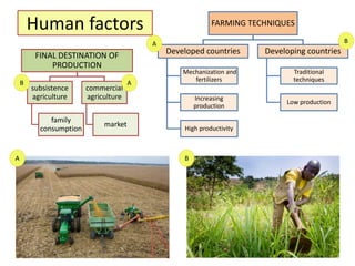 Human factors FARMING TECHNIQUES
Developed countries
Mechanization and
fertilizers
Increasing
production
High productivity
Developing countries
Traditional
techniques
Low production
FINAL DESTINATION OF
PRODUCTION
subsistence
agriculture
family
consumption
commercial
agriculture
market
B
B
B
A
A
A
 