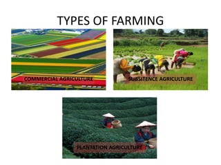 TYPES OF FARMING
COMMERCIAL AGRICULTURE SUBSITENCE AGRICULTURE
PLANTATION AGRICULTURE
 