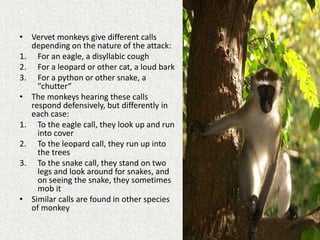 Defence and Protection in Mammals.pptx