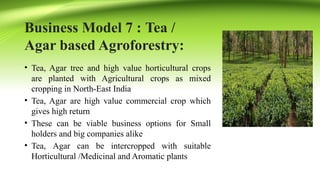 Diverse Agroforestry Business Models and Livelihood Opportunities in ...