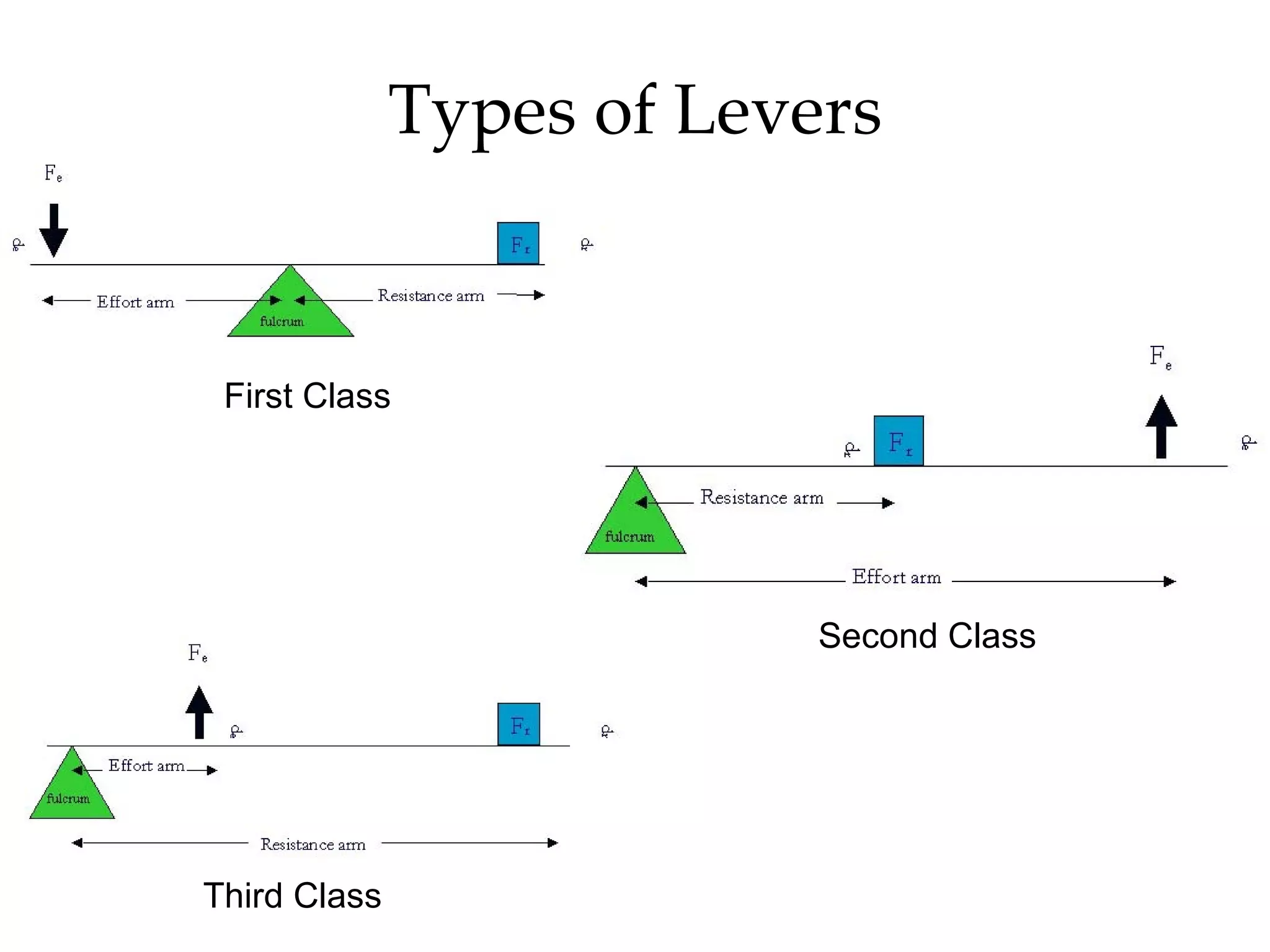 Types of Levers First Class Second Class Third Class