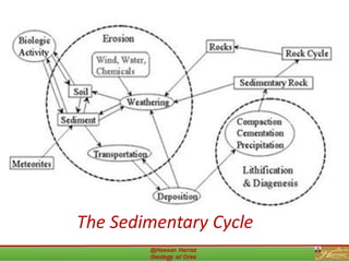 The Sedimentary Cycle
4
 