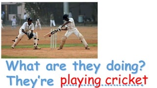 playing cricket
 