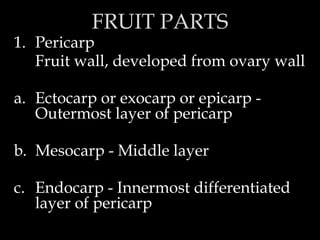 TOPIC 7 Fruit and seed morphology AGRICULTURE.pptx