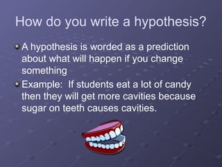 How do you write a hypothesis?
A hypothesis is worded as a prediction
about what will happen if you change
something
Example: If students eat a lot of candy
then they will get more cavities because
sugar on teeth causes cavities.
 