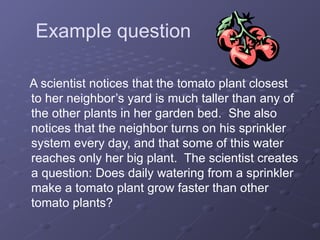 Example question
A scientist notices that the tomato plant closest
to her neighbor’s yard is much taller than any of
the other plants in her garden bed. She also
notices that the neighbor turns on his sprinkler
system every day, and that some of this water
reaches only her big plant. The scientist creates
a question: Does daily watering from a sprinkler
make a tomato plant grow faster than other
tomato plants?
 