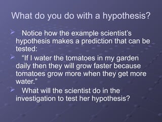What do you do with a hypothesis?
 Notice how the example scientist’s
hypothesis makes a prediction that can be
tested:
 “If I water the tomatoes in my garden
daily then they will grow faster because
tomatoes grow more when they get more
water.”
 What will the scientist do in the
investigation to test her hypothesis?
 