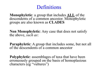 Topic 7 Phylogeny.ppt