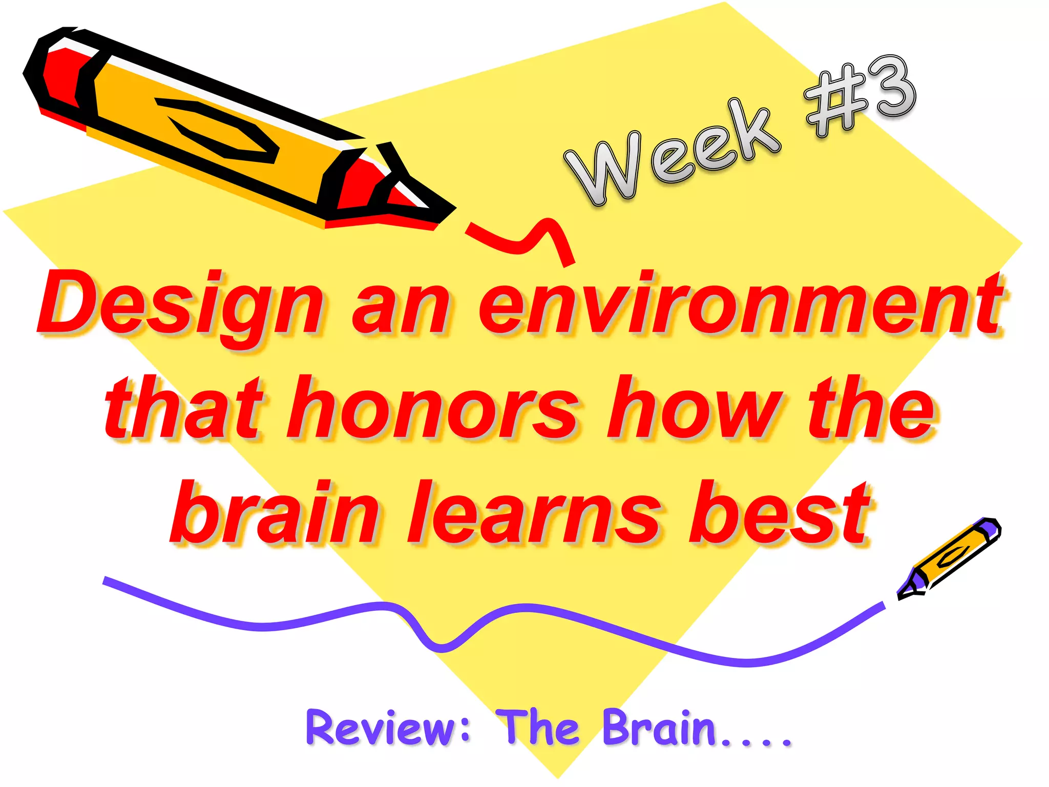 Design an environment 
that honors how the 
brain learns best 
Review: The Brain.... 
 