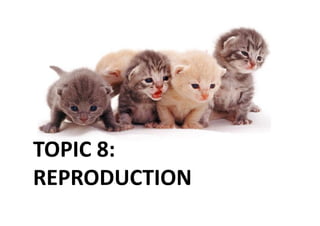 TOPIC	
  8:	
  	
  
REPRODUCTION	
  
 