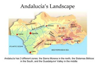 Andalucía’s Landscape Andalucía has 3 different zones: the Sierra Morena in the north, the Sistemas Béticos in the South, and the Guadalquivir Valley in the middle
