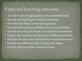 List the levels of organization in the vertebrate body.
 Identify the tissue types found in vertebrate.
 Describe how body cavities are organized.
 Describe the structure and function of an epithelium.
 Identify the cell types found in an epithelial membrane.
 Explain the structure and function of different epithelia.
 Describe the structure and function of connective tissue
 Identify the different kinds of connective tissue.
 List the cells that make connective tissue
1
 