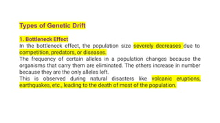 Types of Genetic Drift
1. Bottleneck Effect
In the bottleneck effect, the population size severely decreases due to
competition, predators, or diseases.
The frequency of certain alleles in a population changes because the
organisms that carry them are eliminated. The others increase in number
because they are the only alleles left.
This is observed during natural disasters like volcanic eruptions,
earthquakes, etc., leading to the death of most of the population.
 