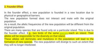 2. Founder Effect
In the founder effect, a new population is founded in a new location due to
physical or geographical barriers.
The new population formed does not interact and mate with the original
population.
As a result, the allelic frequencies of the new population will be different from the
original population.
There are many species that are found only on a particular island. This is due to
the founder effect. E.g., two birds of the same species reach an island. Their
alleles will be responsible for the diversity on that island.
These alleles will dominate, and mutations in the population will lead to the
formation of new species. The new population will diverge to such an extent that
they will no longer interbreed.
 