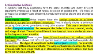 2. Comparative Anatomy
It explains that many organisms have the same ancestor and many different
organisms evolved as a result of natural selection or genetic drift. Two types of
comparative anatomy were observed, namely homologous organs and analogous
organs.
Homologous organs: These organs have the similar structure in different
organisms but perform different functions. Thus, it clearly shows a common
ancestry. One species gave rise to many other species. This type of evolution is
called divergent evolution. For example, the limbs of human, cheetah, whale,
and wings of a bat. They all have different functions but have a similar structure
indicating a common ancestor.
Analogous organs: These organs have different anatomy but perform similar
functions. This shows that different species evolved and adapted to a particular
environment. This type of evolution is called convergent evolution. For example,
the wings of different birds and bats. The wings of birds have feathers for ﬂight
whereas, bats have wings made up of streched skin and lack feathers. But, both
serve the function of ﬂight.
 