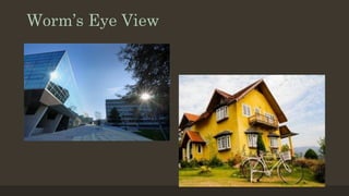 Worm’s Eye View
 