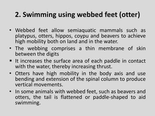 Webbed Feet Octopus Movement in Mammals.pptx