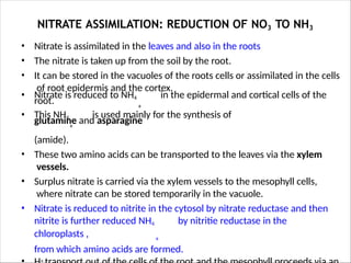 Nitrogen fixation and nitrogen assimilation | PPTX