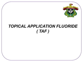 TOPICAL APPLICATION FLUORIDE
( TAF )
 